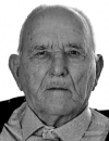 VLADIMIR MEDANIĆ (86)