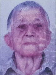 Bešir Trešnjo (87)