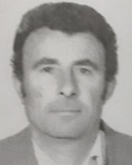 Nikola Brnjoš