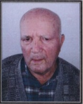 VLADIMIR MILIČEVIĆ