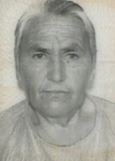 DRAGA IVKOVIĆ