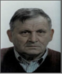 Vladimir Rajić - Mišković