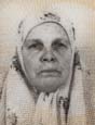 HALIMA ŠLJIVO (85)
