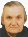 DANICA SJEKLOĆA