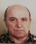 Ivan Širić - Grici