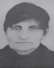Ruža Sekerez