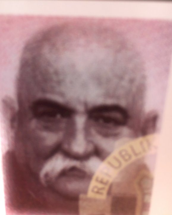 ANTE TOLUŠIĆ - Bego