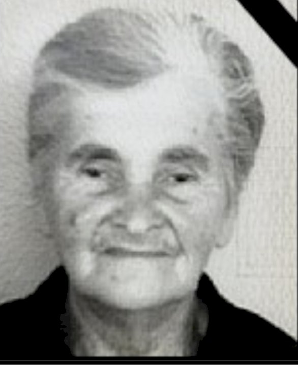 Anka Knezović