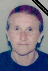 Šima Tule