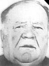 Martin Budimir