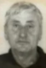 Dragomir Brzović