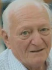 Mijo Bebek Domić