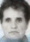 Dobra Tolj