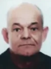 Ivan Mamić