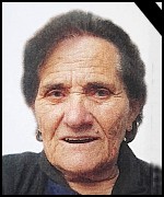 Iva Palac
