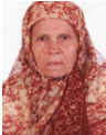 Azemina Arnautović