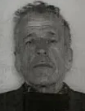 Nikola Šarić