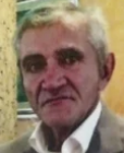 Mijo Višević