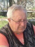 BAJRO BEGIĆ