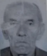 Grgo Skočibušić