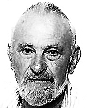NIKOLA VULELIJA