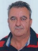 IVO VIDOVIĆ
