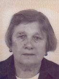 BEGA BAŠOVIĆ