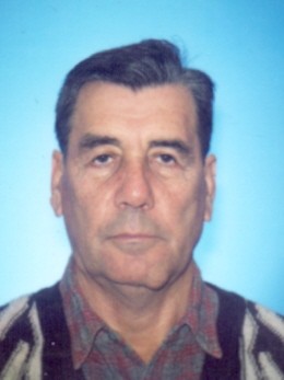 ALIJA VITEŠKIĆ