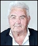 Pavo Puljić