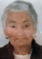 Anica Begić