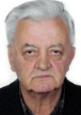 Nediljko Žižanović