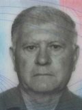 Petar Štulina