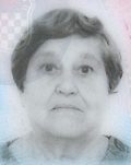 Ilonka Lovrek