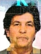 Janja Goluža