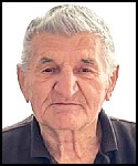 Dominik Brkić