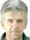 VAHID NOVALIJA