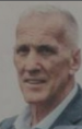 Branislav Papić