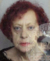 Vrsna Vulović