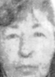 Desa Garić