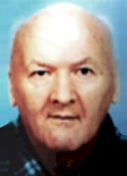 Šaban Ajdinović