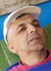 IBRO BIRDŽO