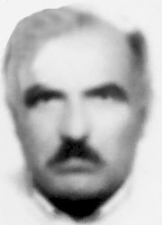 SREĆKO VULIĆ
