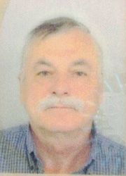Nikola Šarčević