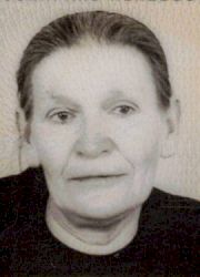 Ruže Brajko(Čorapinuša)