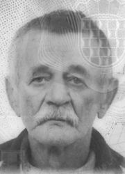 DOMIN ĆOSIĆ